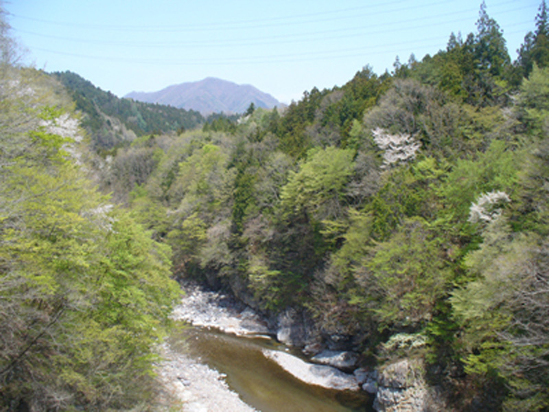 Camp IN ドロブックル（2/3）