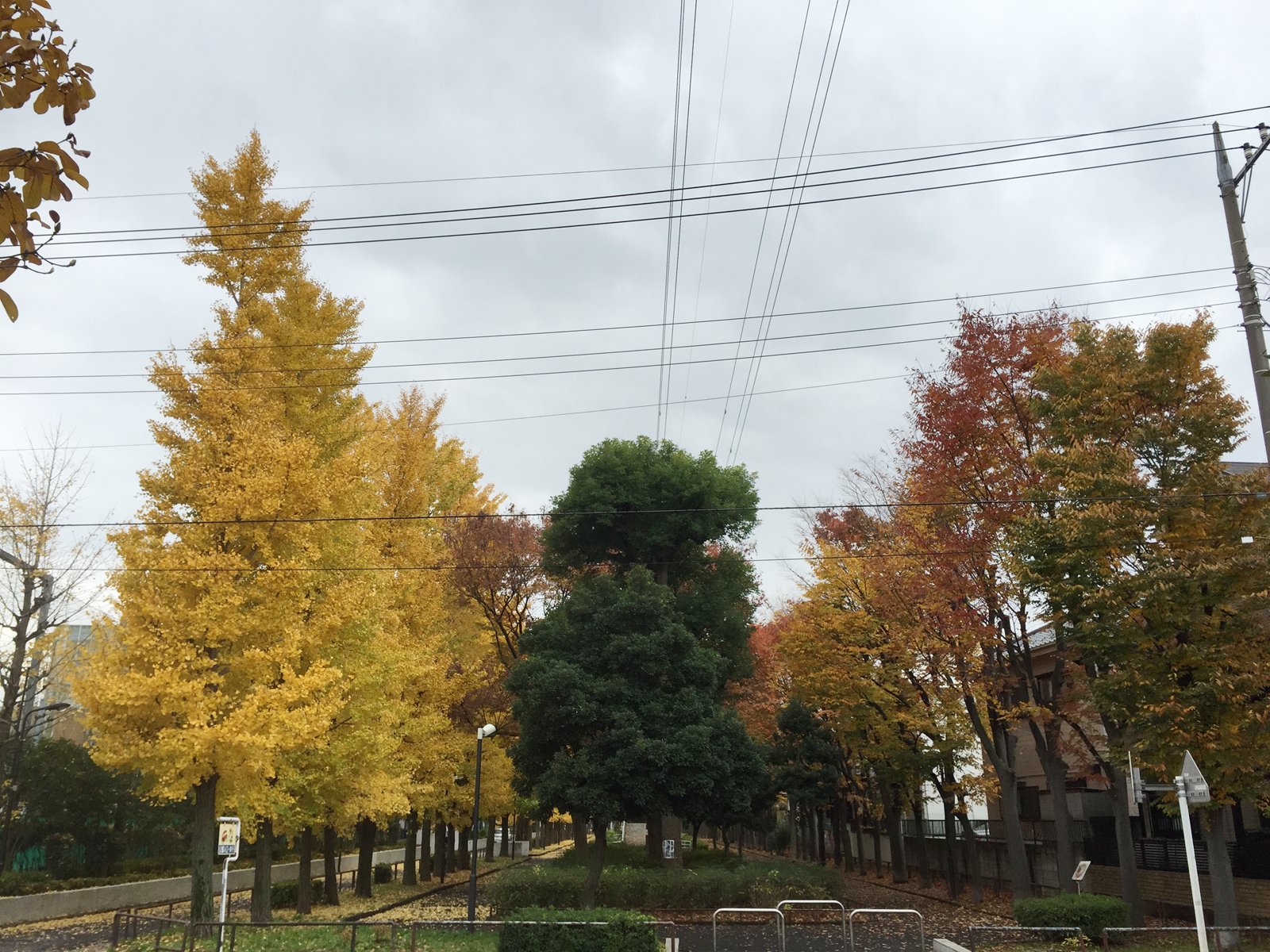 足立の某グランドにてTM