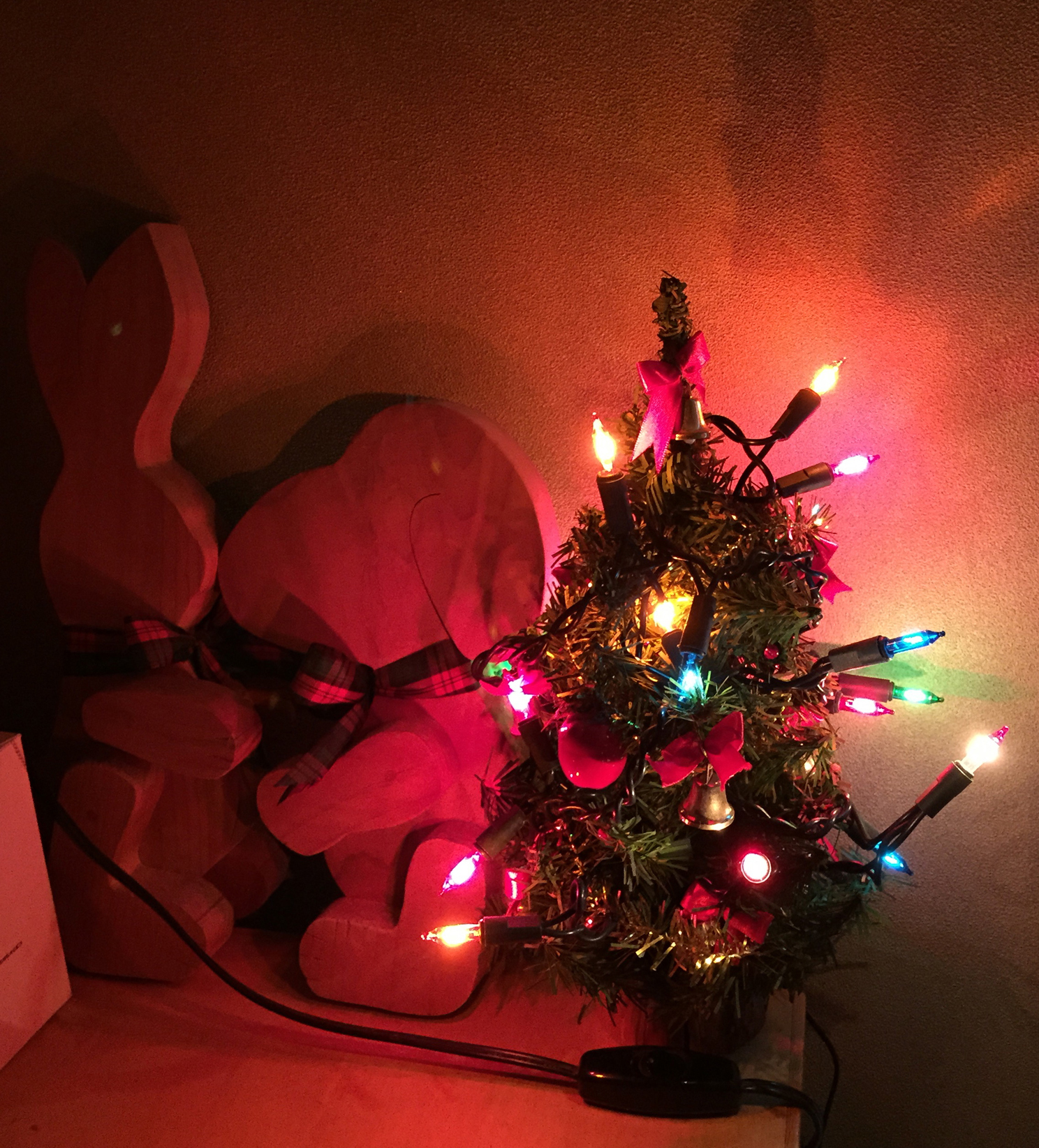 Merry X’mas☆（^^）