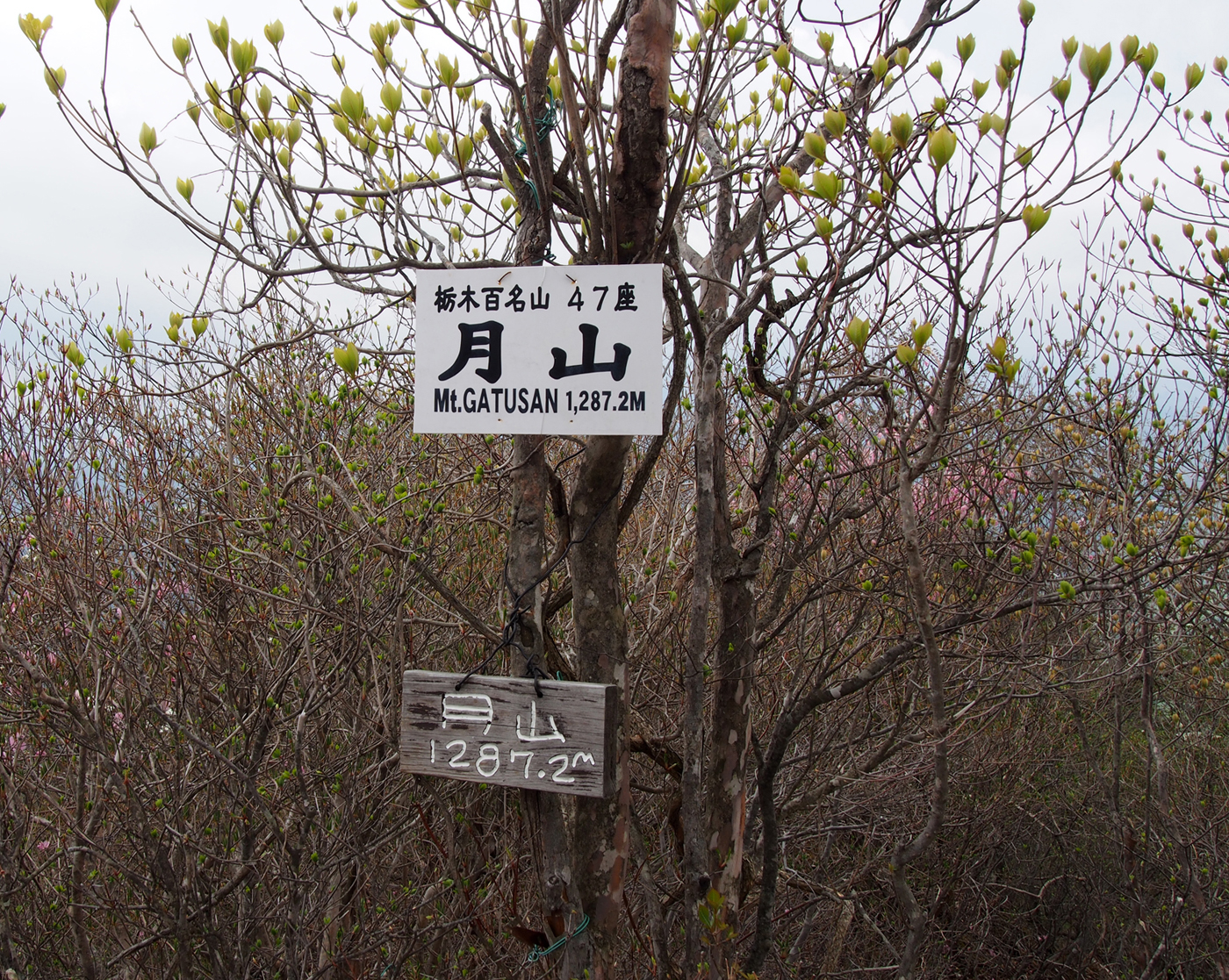 Camp in ドロブックル_2015.春_（2/2）