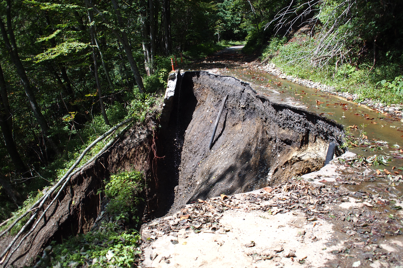 9月の夏休み〜gallery