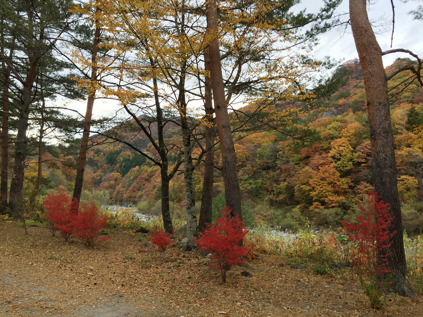 上栗山オートキャンプ場＿1