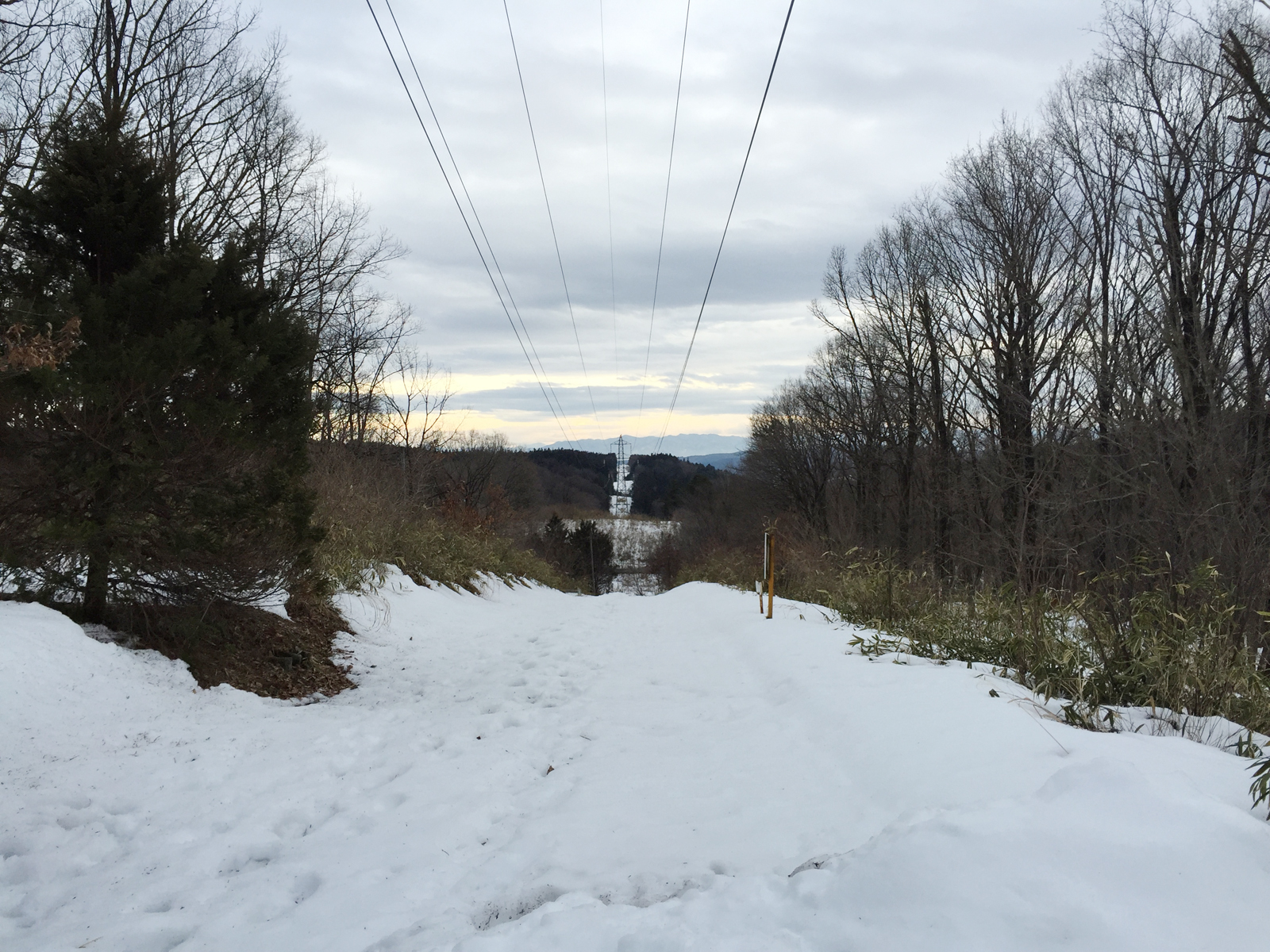 スタットレスでε=(o゚ー゚)o