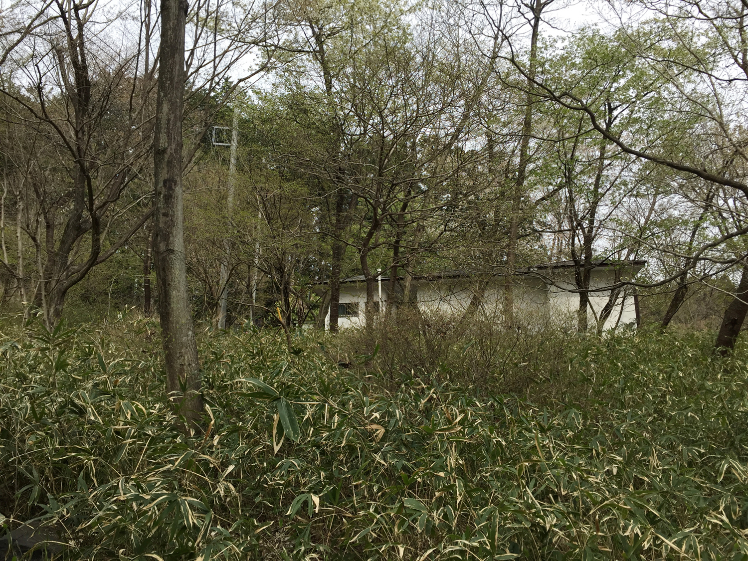 赤城の地へ_。_。