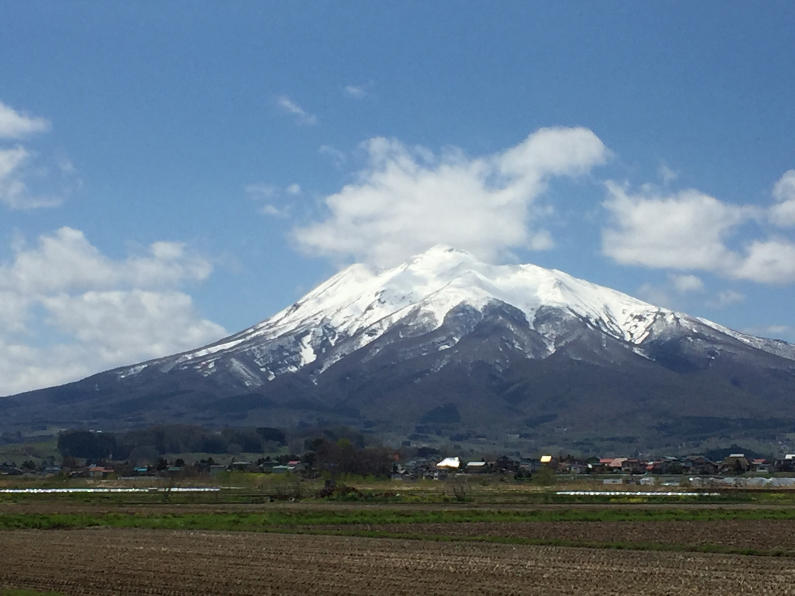 帰省_2日目=桜祭り