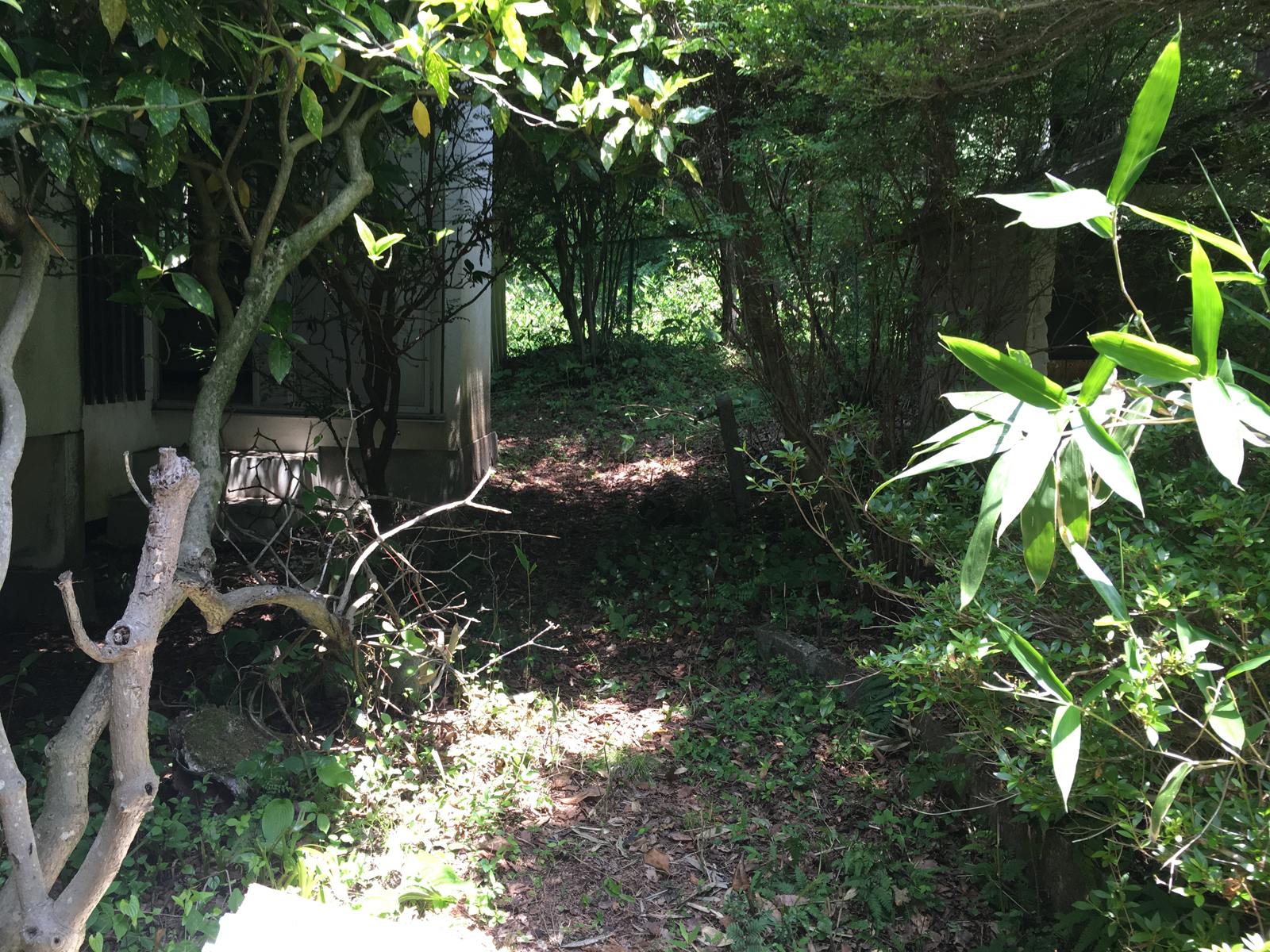 現場_2016.6月-1/2