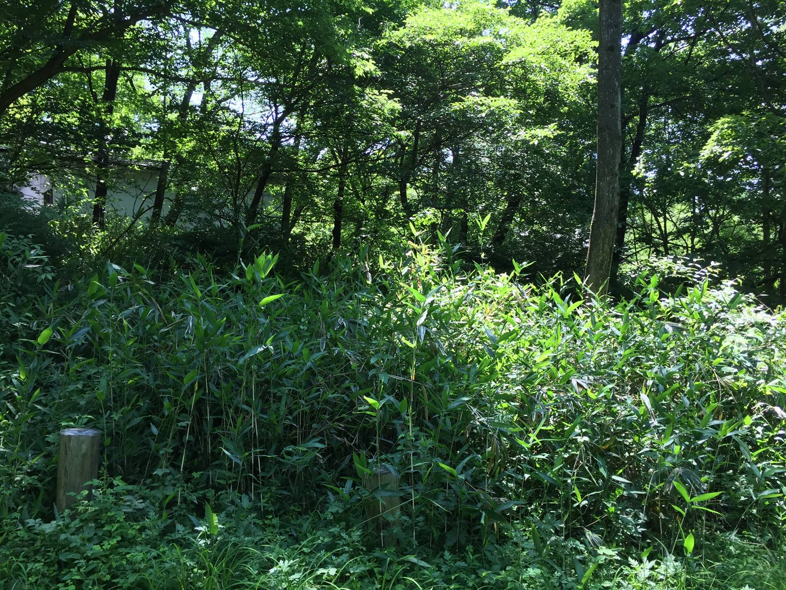 現場_2016.6月−2/2