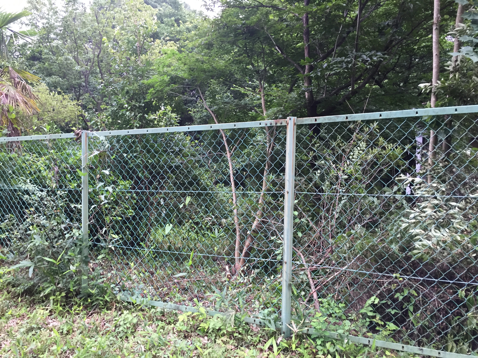 現場_2016.7月-1/2