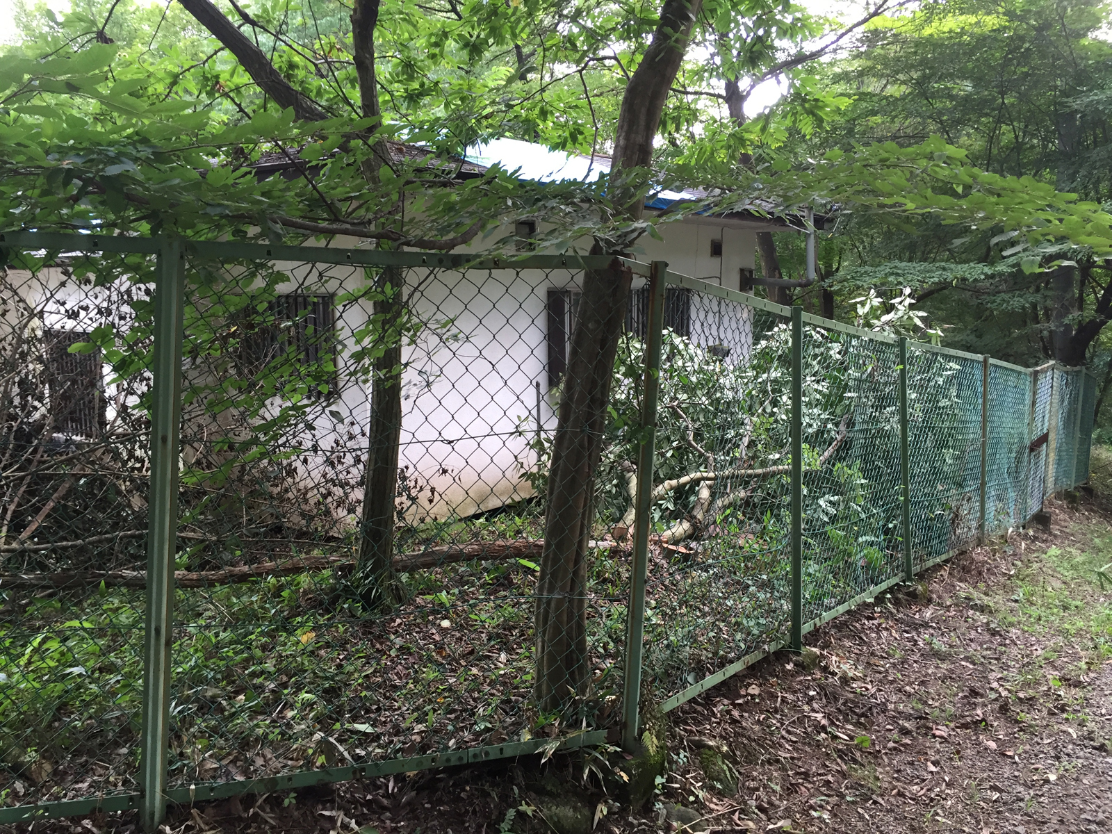 現場_2016.8月-1/2