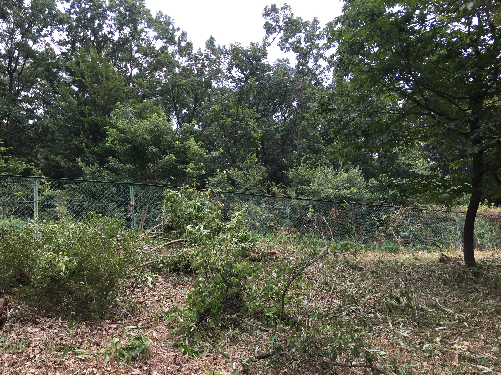 現場_2016.8月-2/2