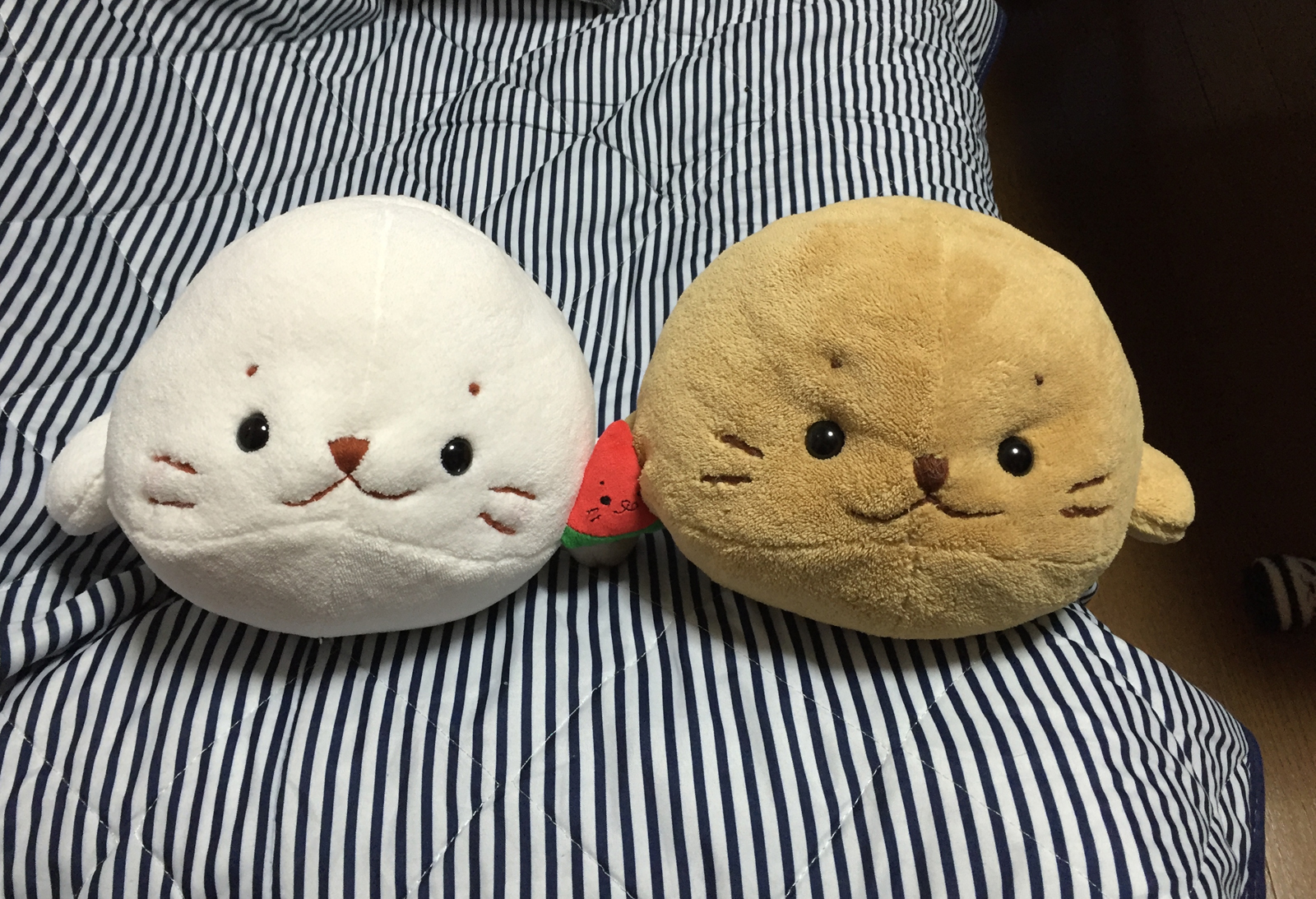 しろたん=*＾-＾*=