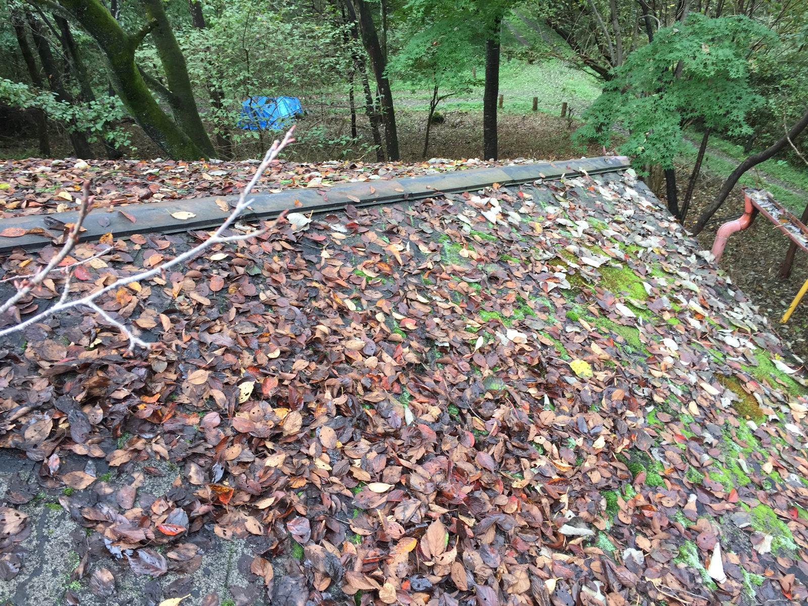 現場＿2016.10月-1