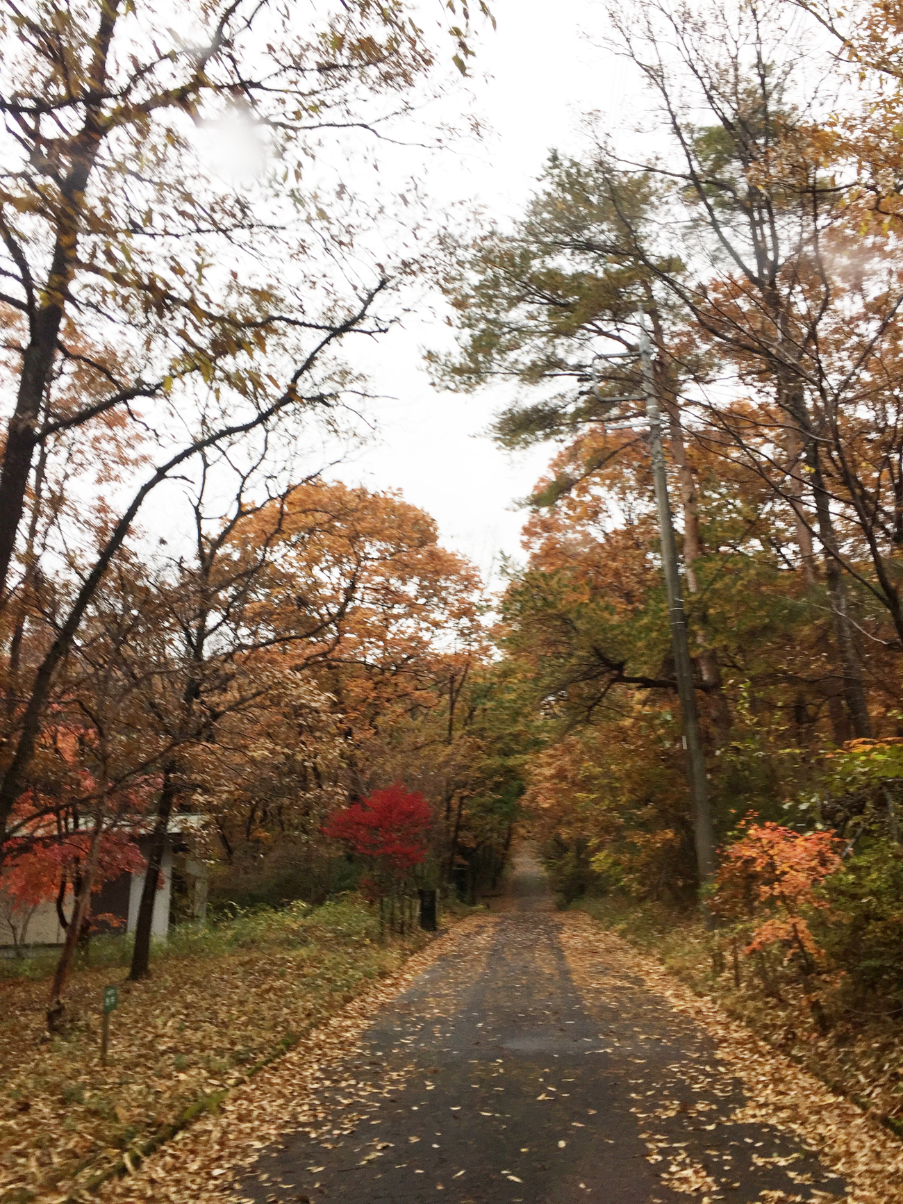 現場＿2016.11月-2