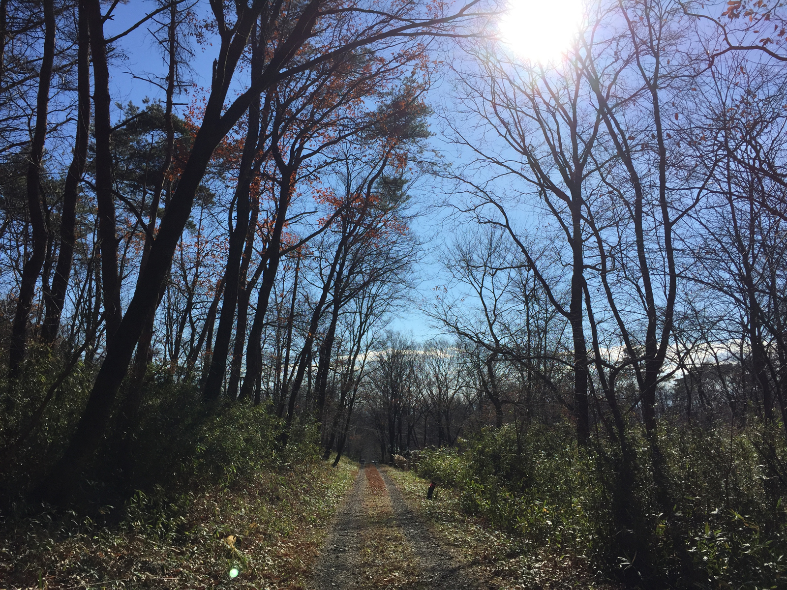 現場＿2016.12月−1