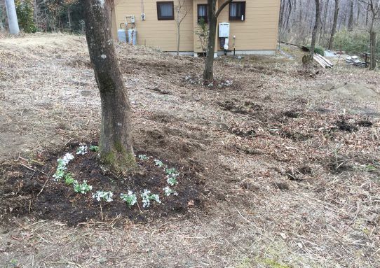 現場_2017.3月−1