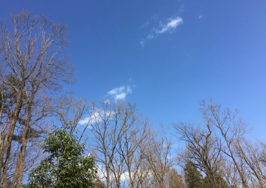 現場_2017.4月−2