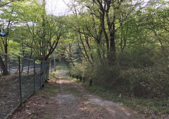 現場_2017.5-1 GW後半1