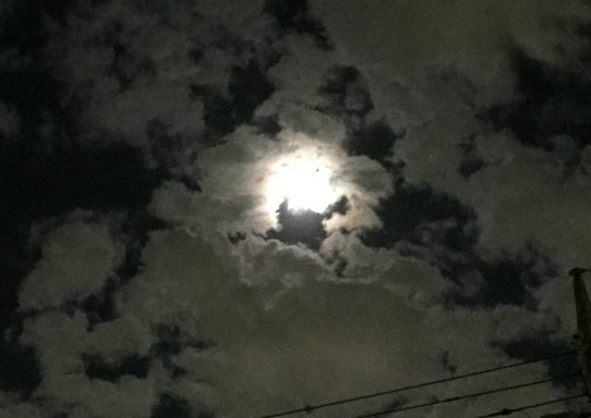 ＼（^□^）／おめでとうお♪