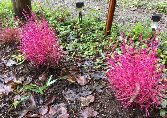 現場_2017.10月2-1