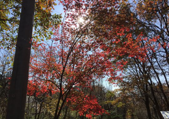 現場_2017.11月1-1