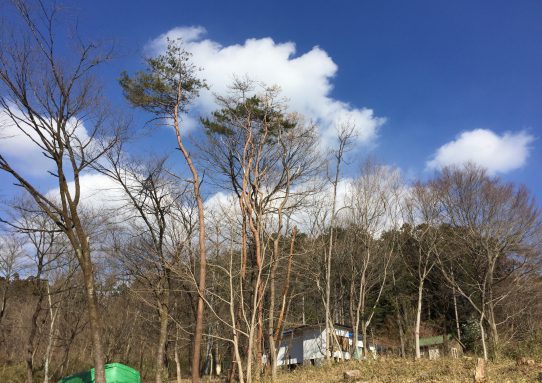 現場_2017.12月3-2