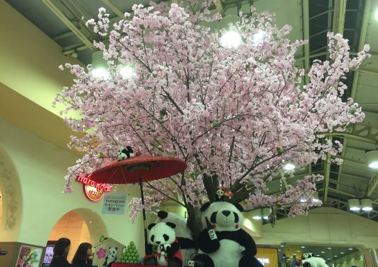 桜。。パンダ ^_-／