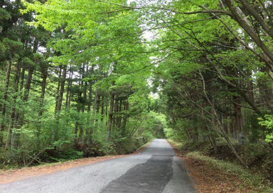 2018_camp_ドロブ3/3