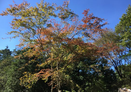 現場_2018.10月1-2