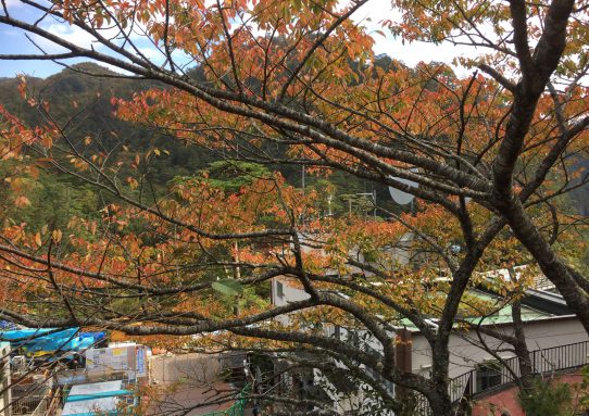 ドロブcamp_18.秋　1-2