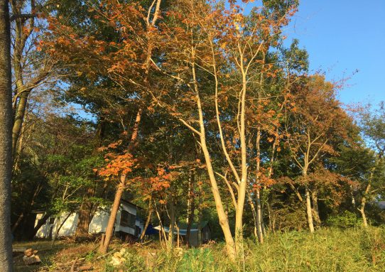 現場_2018.10月2-1