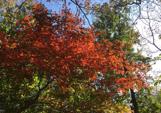 現場_2018.10月2-2