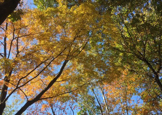 現場_2018.11月1-1