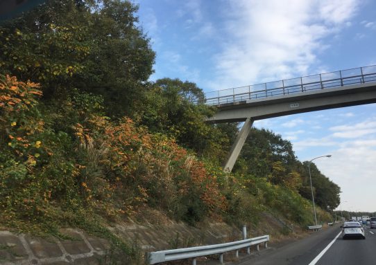 現場_2018.11月1-2