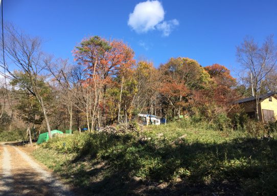 現場_2018.11月2-1