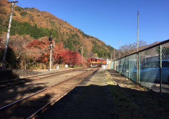 現場_off　紅葉満喫。_|￣|_。。