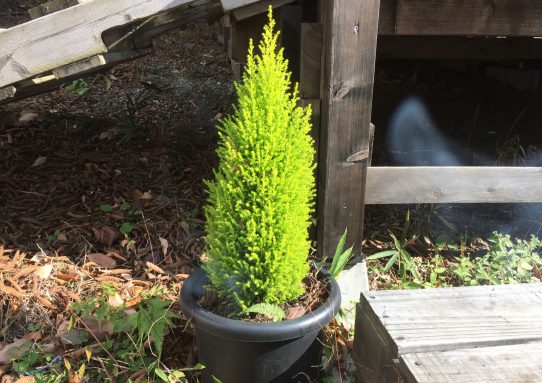 現場_2018.11月2-2