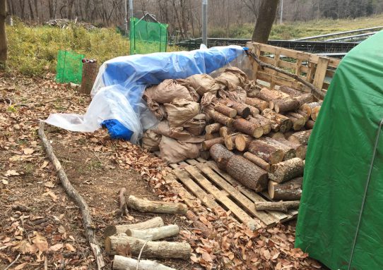 現場_2018.12月2-2