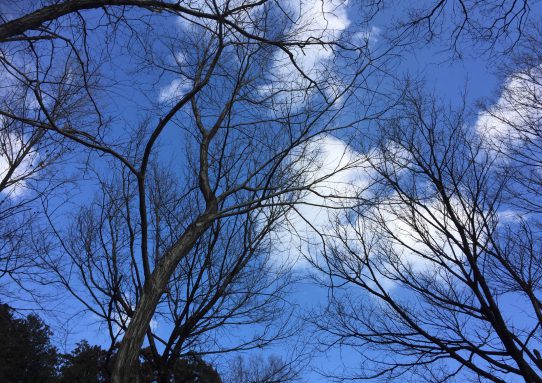 現場_2019.2月2。。