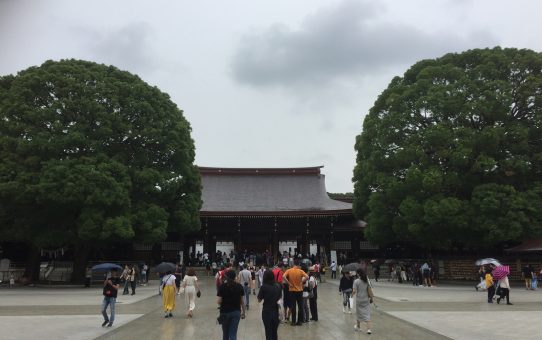 OCEANフェス／／。