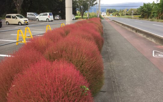 現場＿2019.10-月1