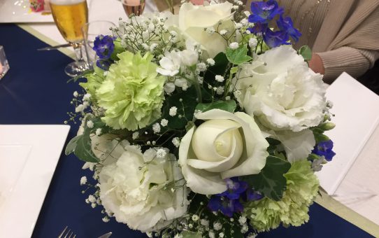 弾丸帰省_。_。