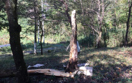 現場_2019.10月2-1