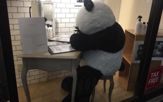 1week..ε~( ̄、 ̄;)