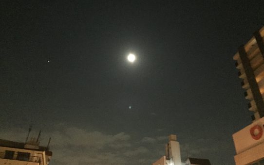 2020.10月のポレポレ。。