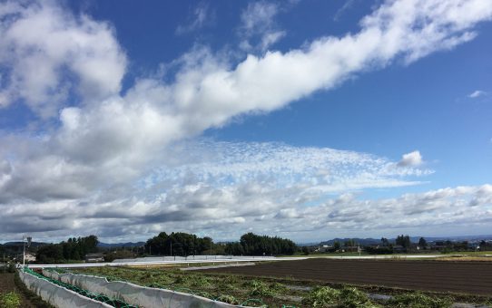 現場_2020.10月1-1