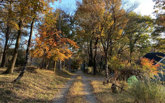 現場_2020.11月1-1