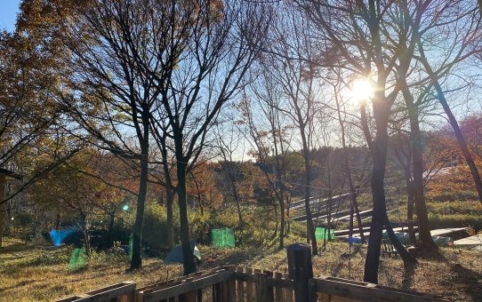 現場_2020.11月2-1