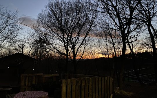 現場_2020.12月2-2