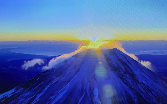 2021.1月ポレポレ。/。/