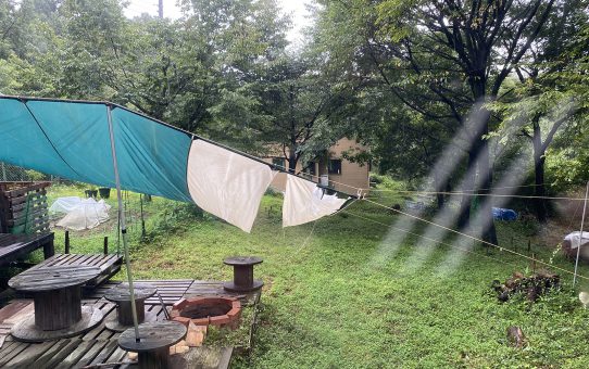 ターフ(T T)_2021.8.2-1